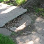 Bay Trail broken concrete